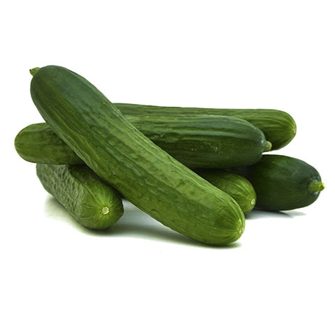 European Cucumbers