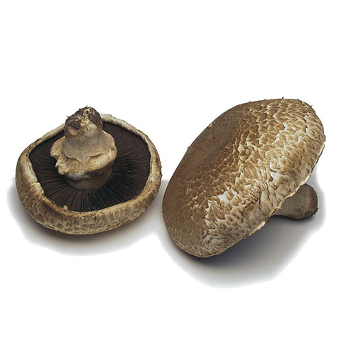 Portebello Mushrooms